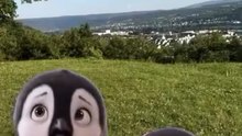 1000003021