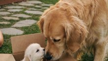 One year ago vs. today… 🥹