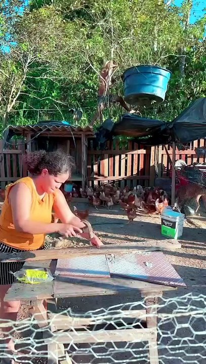 Funniest Backyard Fail | Man Falls Off Tree While Woman Works