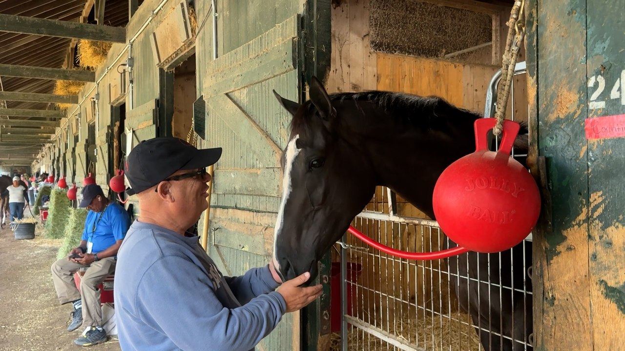 Down the Shedrow with Mark Casse, presented by OBS Sales