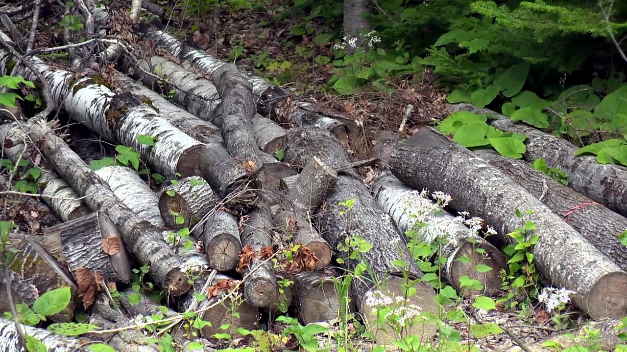 CH 20 Aout TOPO Restrictions deboisement Petite-Riviere-St-Francois WEB