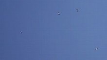 Parachutistes
