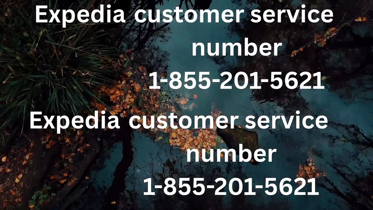 Official Expedia® Complete Customer Service™ Contact Information