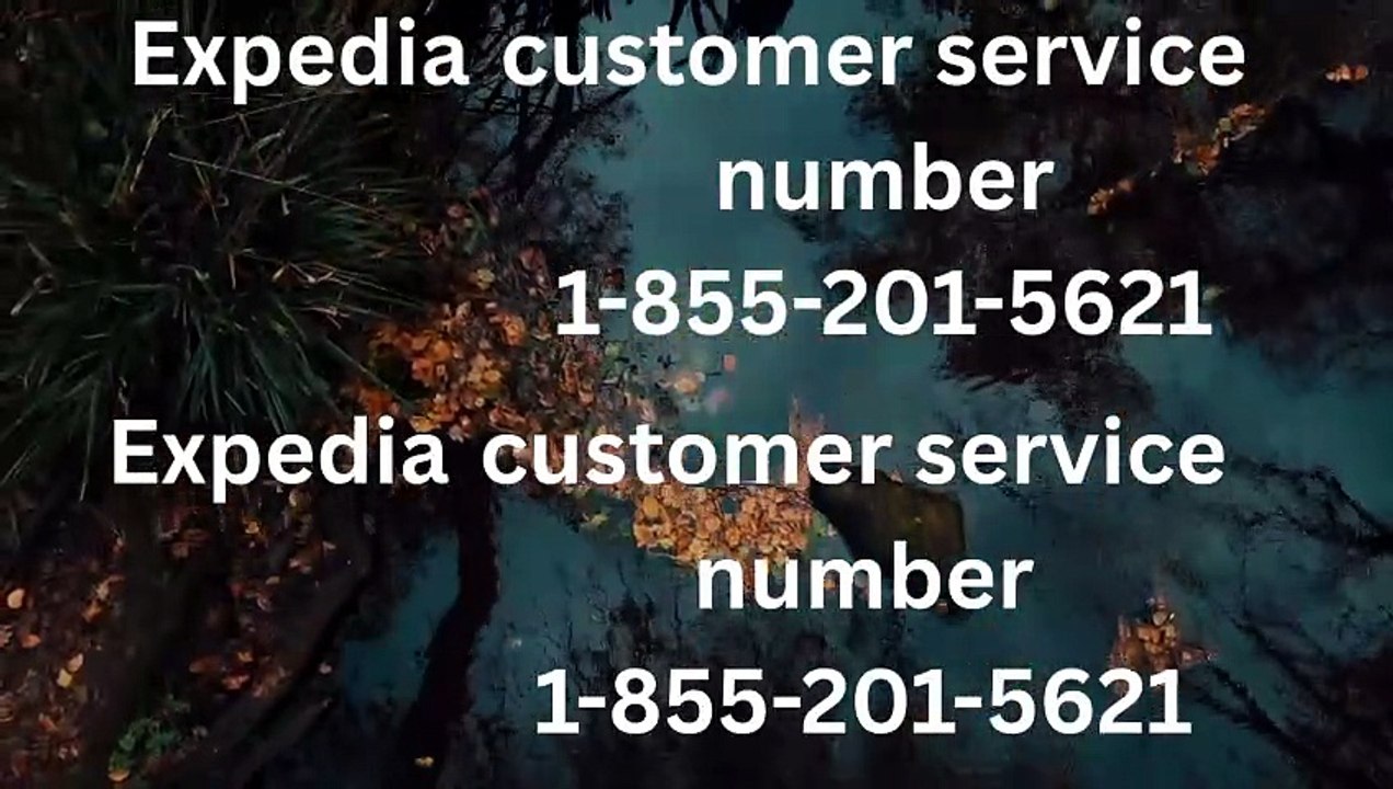 Full Expedia® Official USA Customer Service™ Contact Details