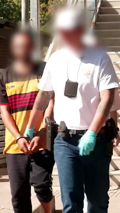 ‘No hiding place’: Hundreds arrested in major D...