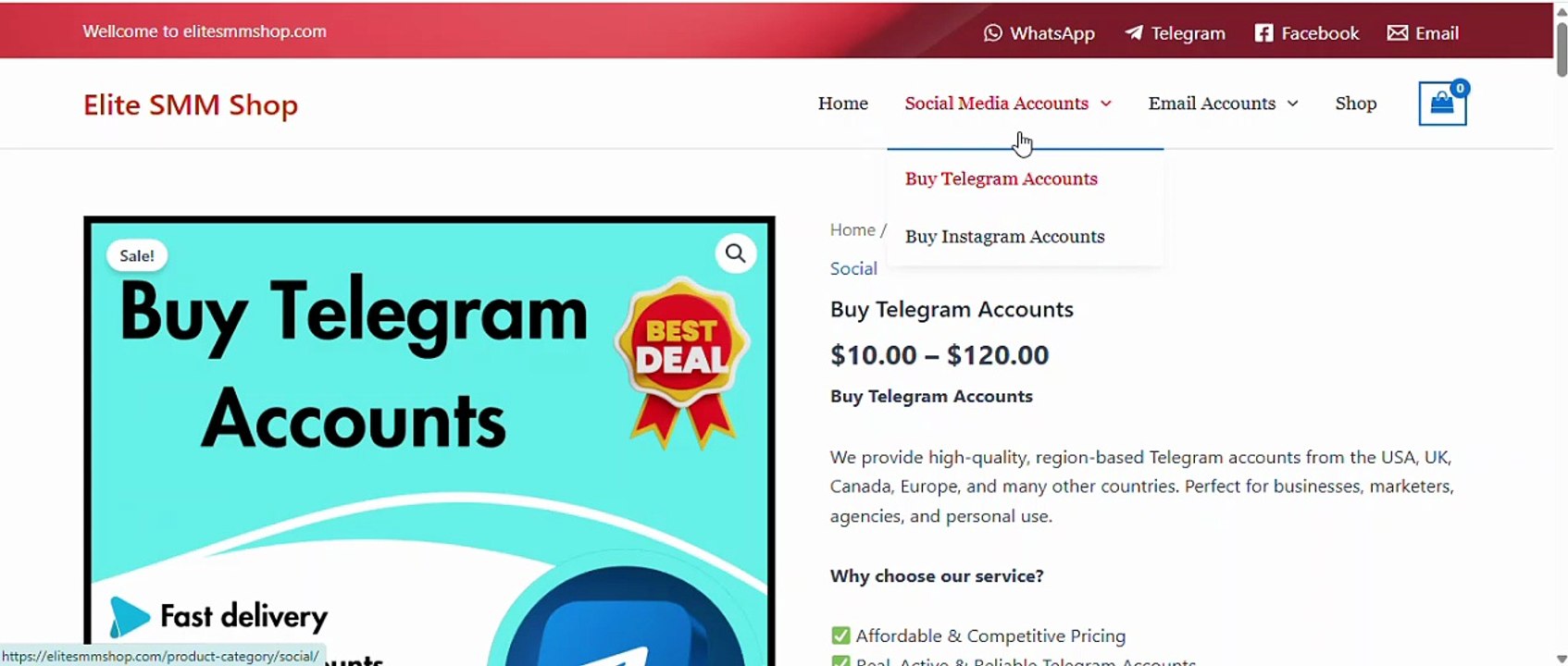 Buy Telegrem Boost Your Online Presence With Professional Telegram Services