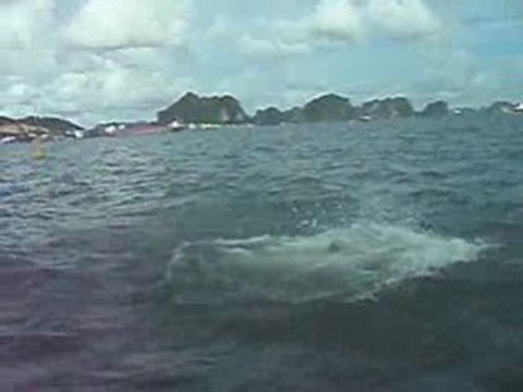 Coup de pied a la lune