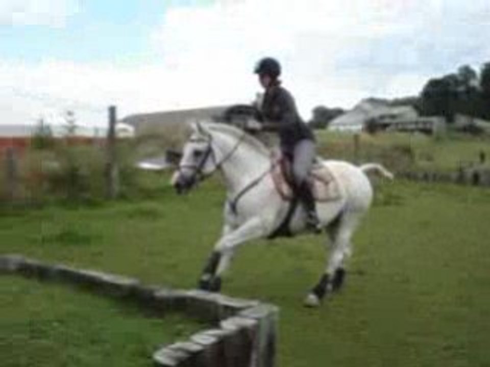 Dek en cross