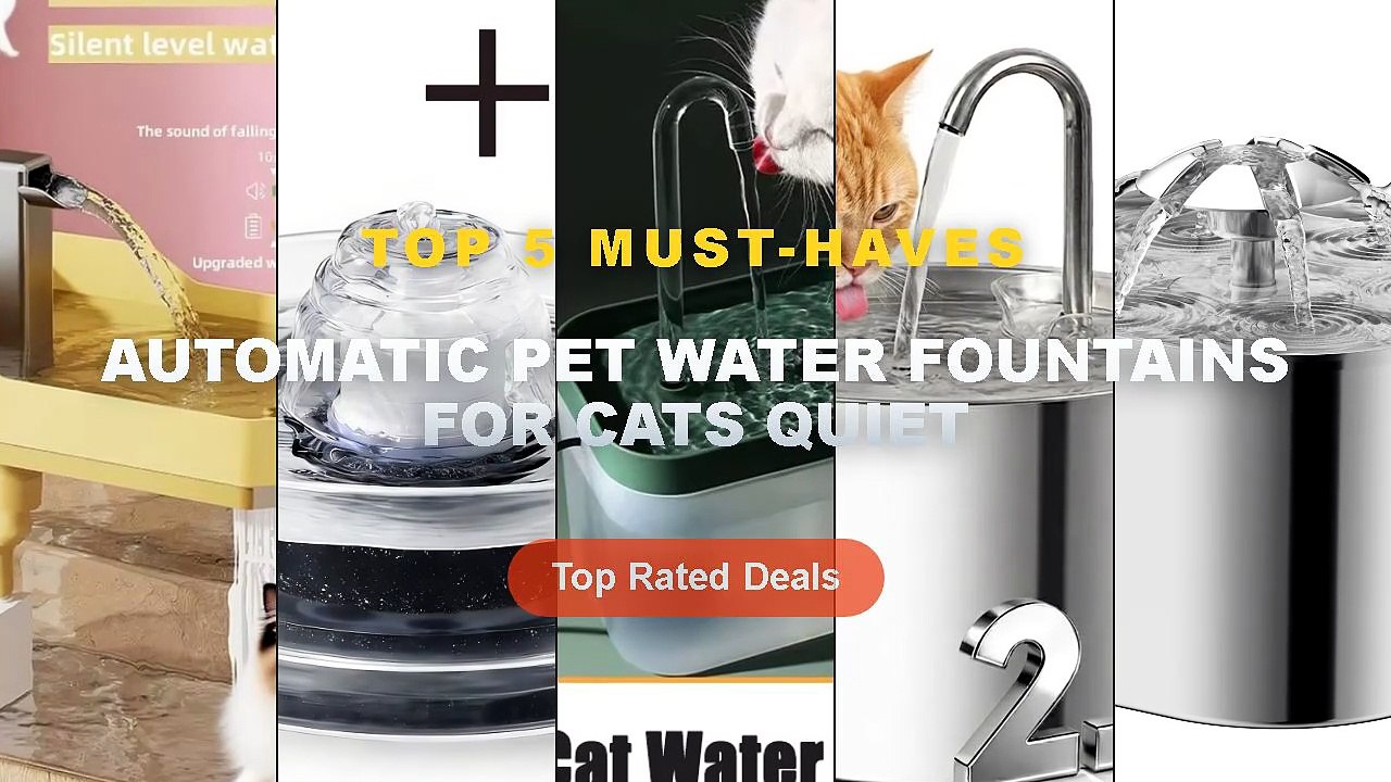 Top 5 Best Automatic Pet Water Fountains For Cats Quiet (Must Have!)