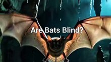 Kya Chamgadad Sach Mein Andhe Hote Hain? 🦇👀 Asli Sach! #shorts