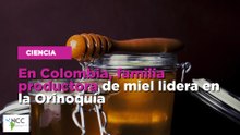 En colombia, familia productora de miel lidera en la Orinoquía