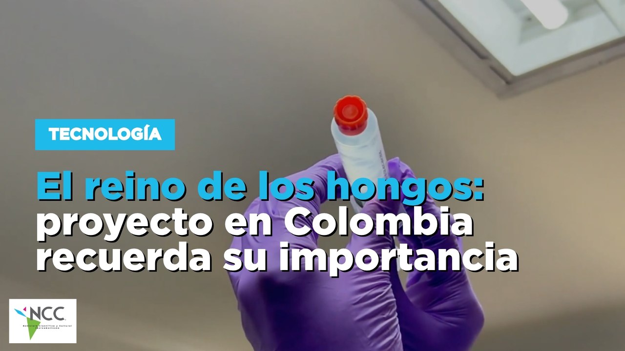 El reino de los hongos: proyecto en Colombia recuerda su importancia