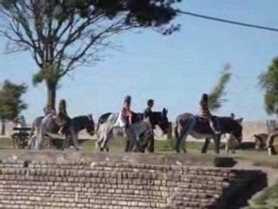 Lé bodé du Poitou en pantalon