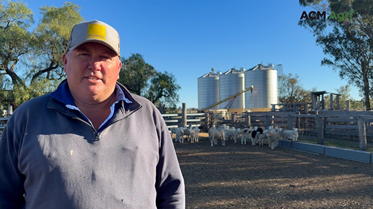Arcroft Ag's new project: from real estate to prime lamb production