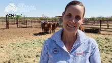 Australian Agricultural Awards: Women in Agriculture finalist Allison Dakin