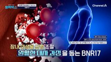 탄수화물 먹어도 살 안 찌는 이유? BNR17 유산균의 비밀!