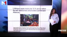 Revue de presse - 20/08/2026