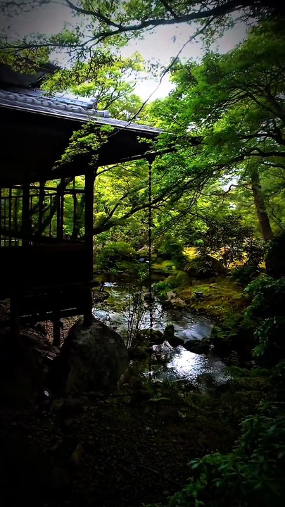 … 宝厳院  大亀山 宝厳院 Hogonin Temple Kyoto Japan