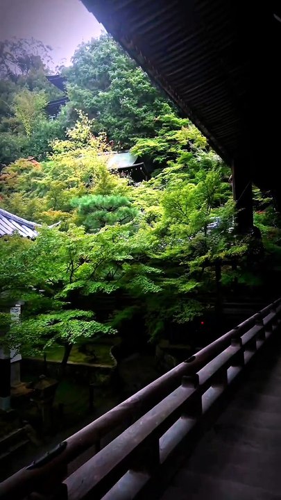 _永観堂 永観堂 禅林寺 Eikando Zenrinji Temple, Kyoto Japan