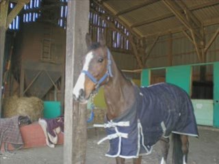 July et ses amis_0001