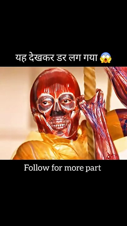 😱 उस रात जो हुआ, उसने सबको डरा दिया! | Horror Mystery