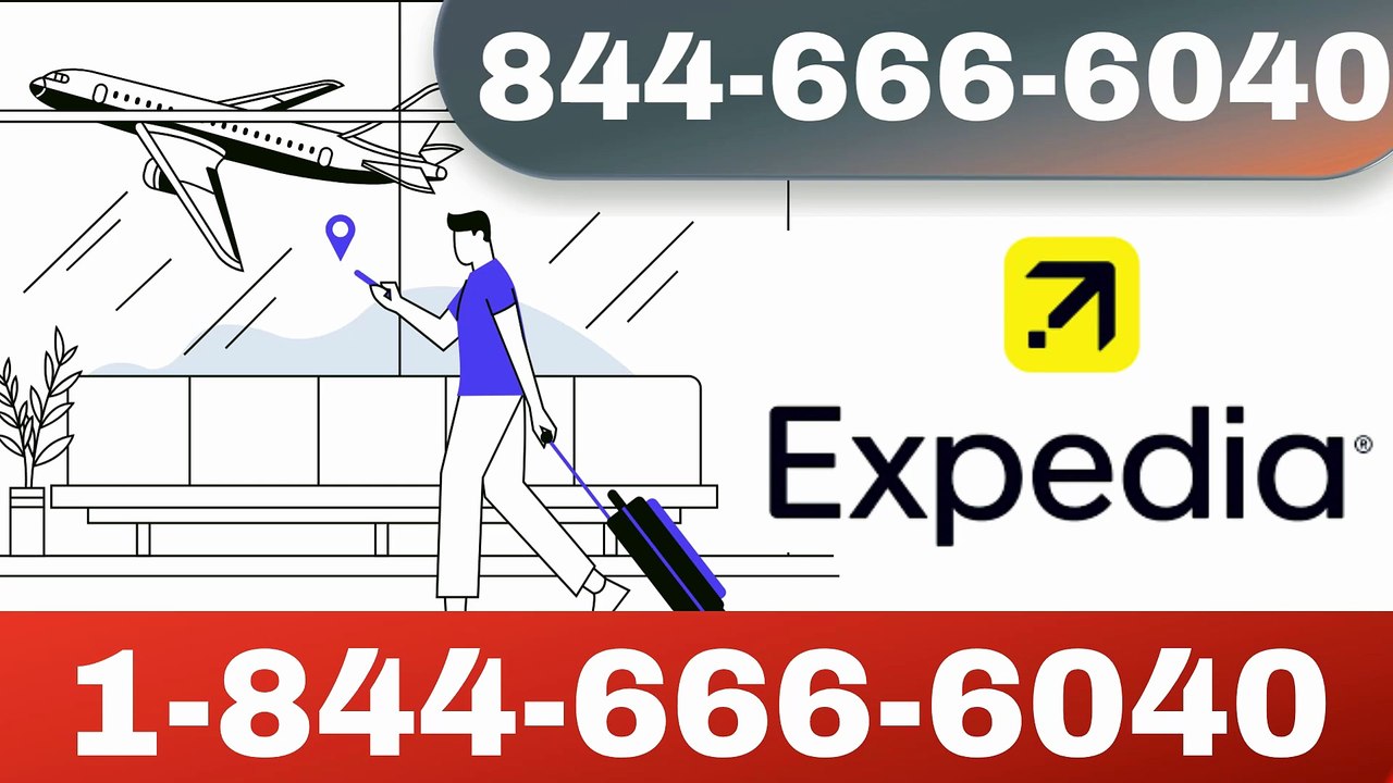 Expedia Customer Service | Official Phone Number, Email & Calls - Help Desk 24/7 Support
