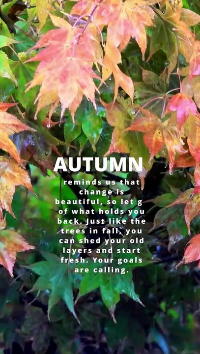Autumn Reminds Us That Change Is A Beautiful Journey 🍂✨