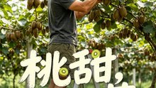 桃甜，心苦 | 完整劇集 | Short Drama 繁體中文