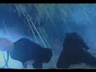 Wu jing southern shaolin