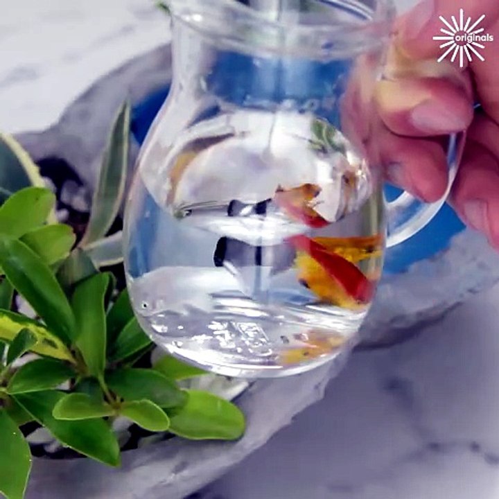 Making a fish pond with watermelon & cement and...