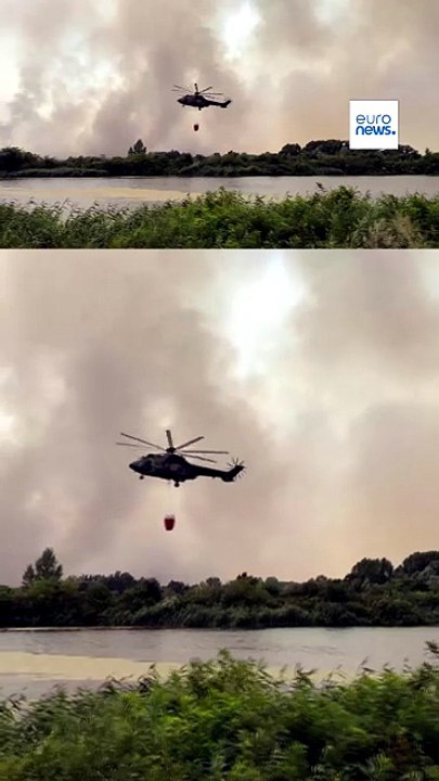Waldbrand außer Kontrolle: Russisches Löschflugzeug im Einsatz in Serbien