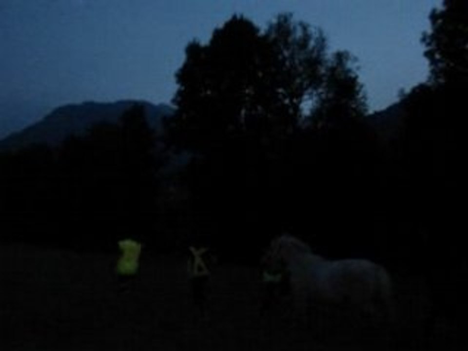 transhumance du Haut Ossau