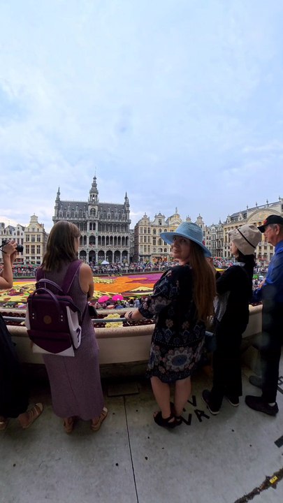Brussels Flowers Carpet 2026 🌸✨