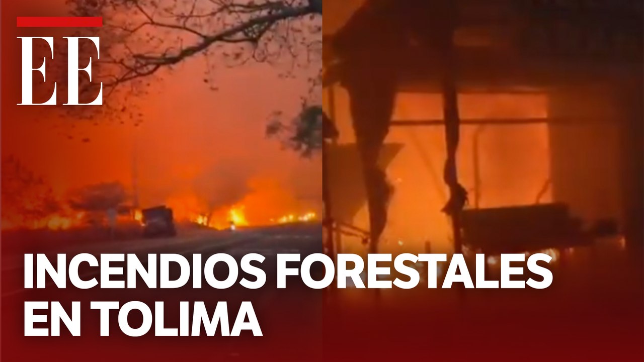 Incendios en el Tolima: despliegan apoyo nacion...