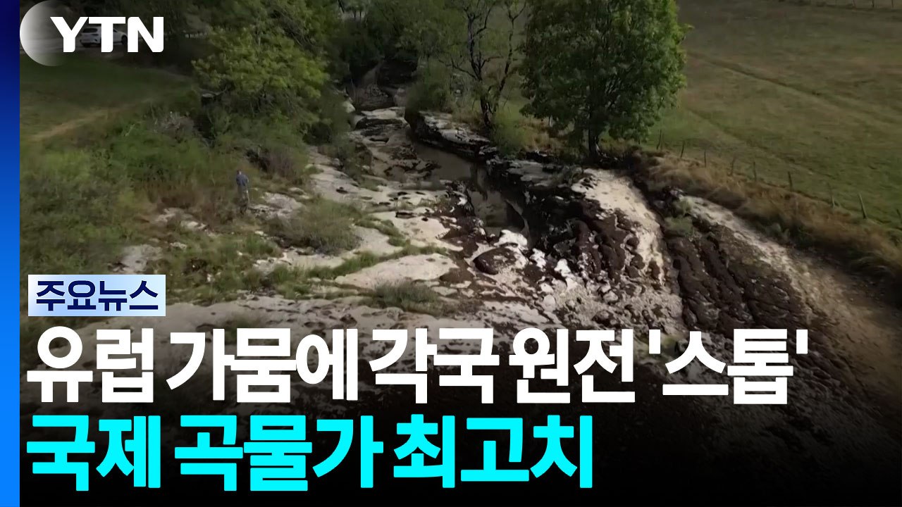 유럽 기록적 가뭄에 각국 원전 '스톱'...국제 곡물가 2년 만에 최고치 / YTN