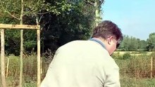 Les employés de Ceva Santé Animale à Libourne peuvent emmener leur chien au travail