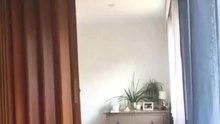 The Best Moment Cat Action 😸😸😸