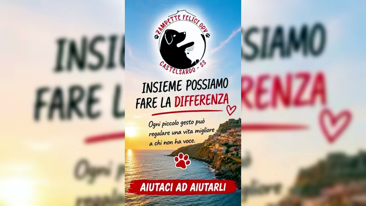 Zampette felici: l'associazione che aiuta cani e gatti a trovare una famiglia