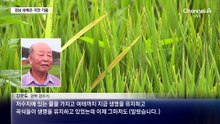 송곳폭우 비켜간 경주 포항은 ‘극한 가뭄’