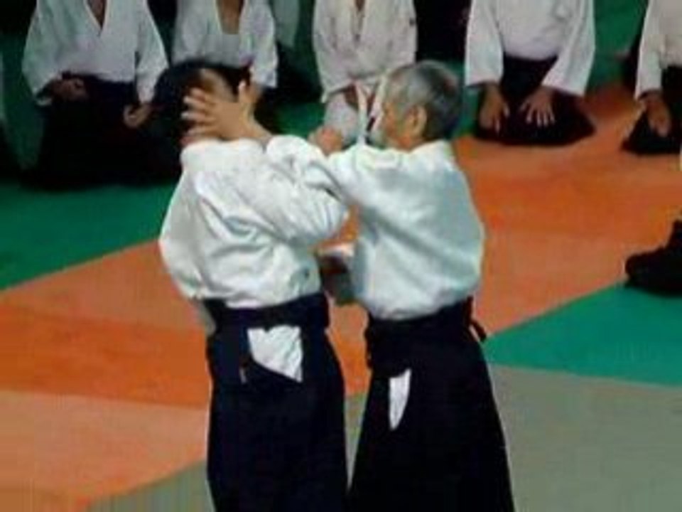 Tamura senseï Lesneven 2008 shomen uchi iriminage