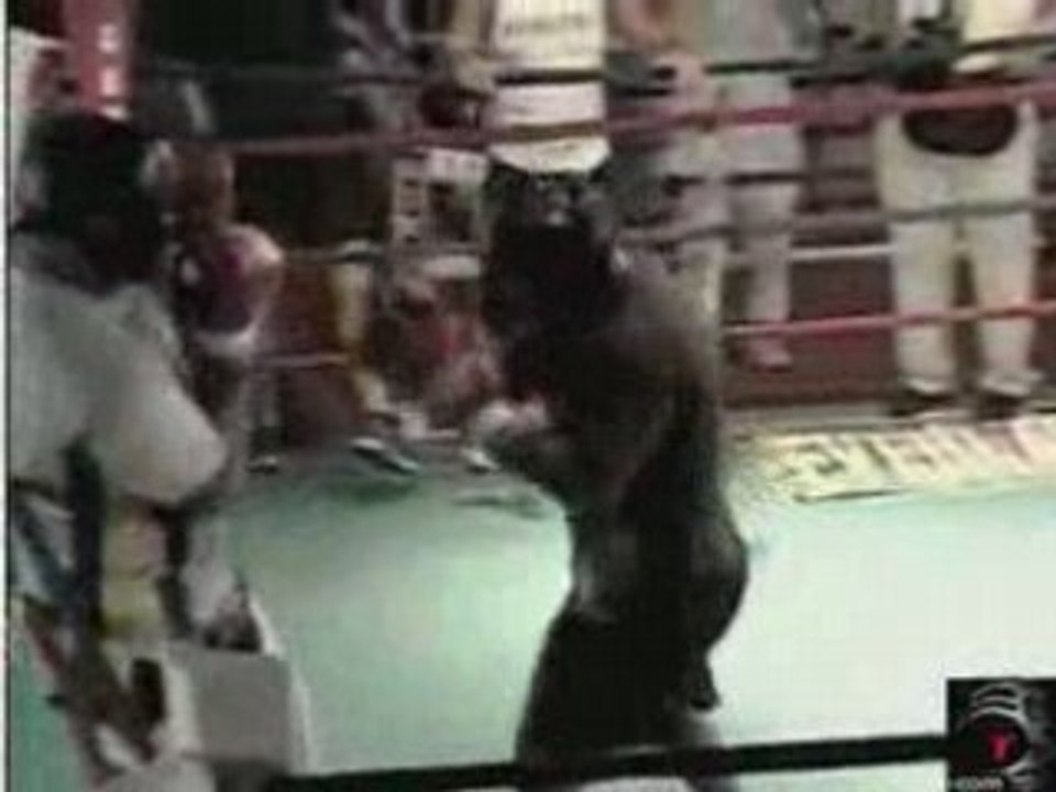 Boxing - Mike Tyson