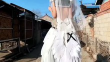 Cosplay