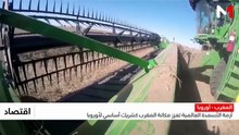 النشرة الاقتصادية 21/08/2026