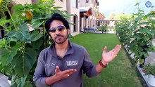 Pahalgam