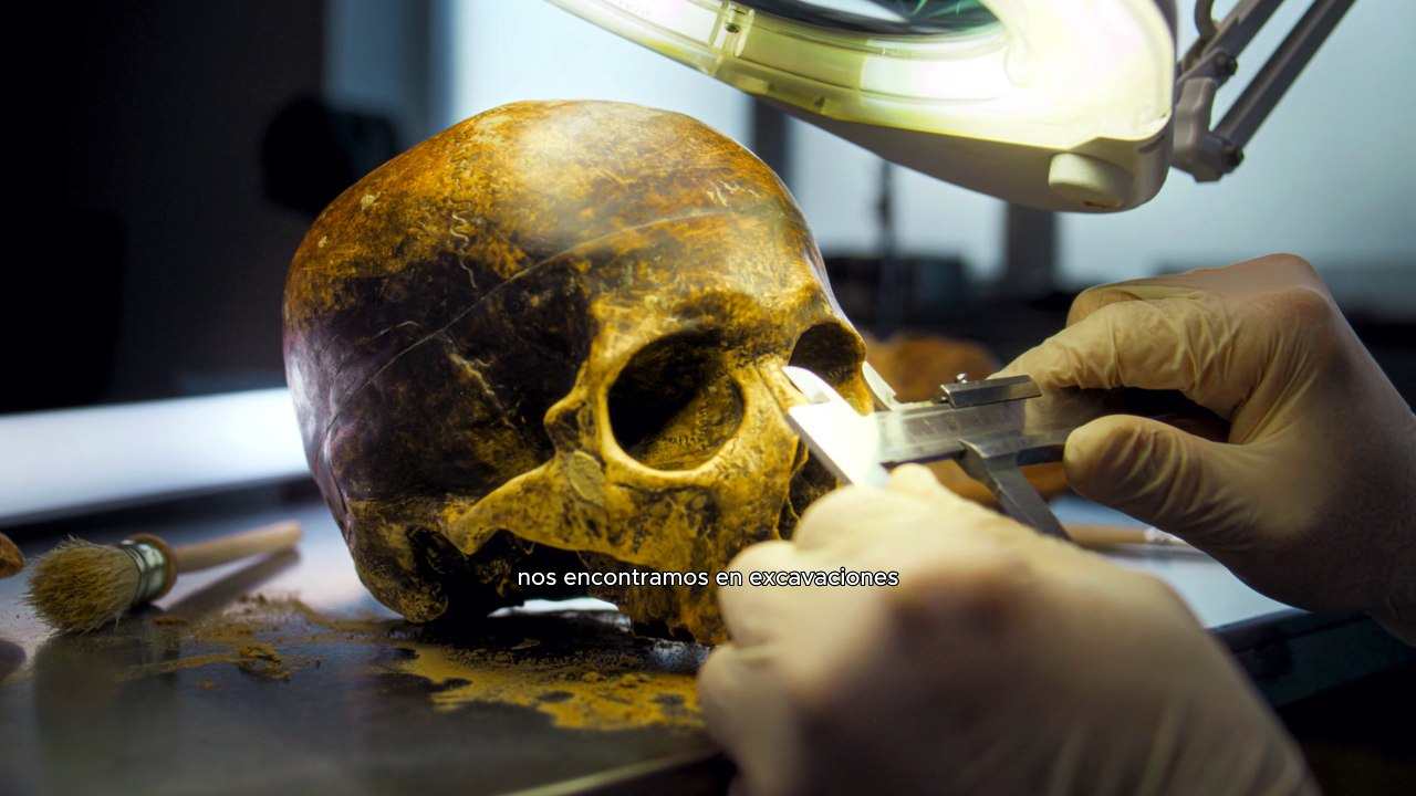 El misterio de los cerebros que han sobrevivido 12.000 años tras la muerte