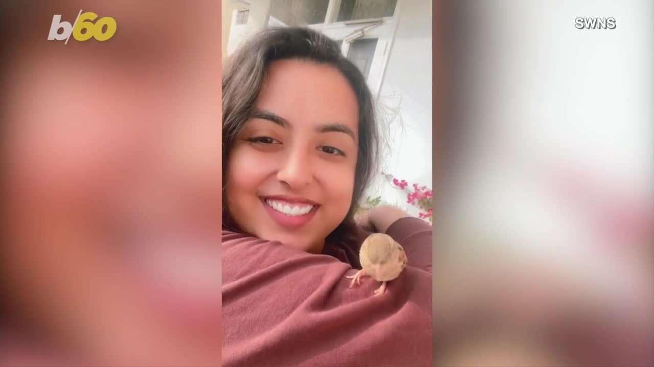 Saved Sparrow Sparks an Unlikely Human Friendship