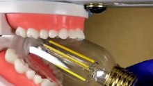 How Strong Is the Human Jaw? 😱 The Answer Is Shocking!