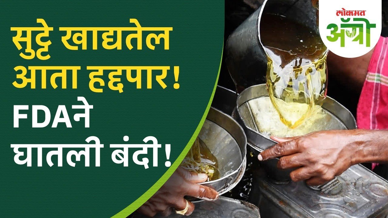 सुट्या खाद्यतेलाच्या विक्रीवर बंदी का? FDA चे नेमके आदेश काय? सामान्यांसाठी काय आहेत नवे नियम?