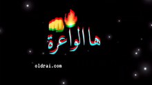 Rai festival ifran chikhat