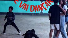 MACACO LARGA MACACA CHATA E VAI DANÇAR CRÉU 🤣